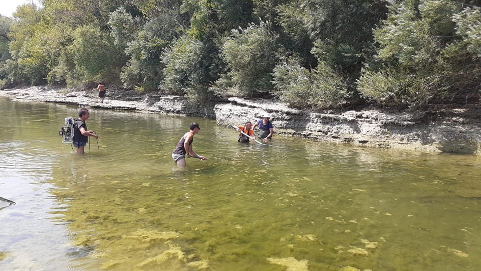 Copertina per Siccità nell'Isonzo, salvati i pesci ma rimane l'allerta per la salute del fiume